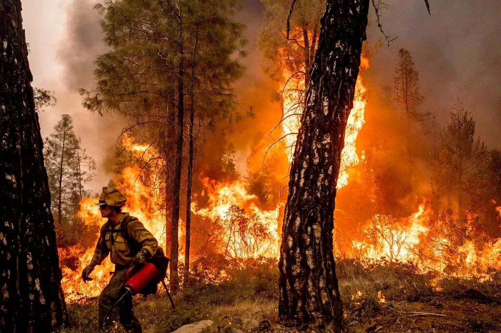 Bencana Alam Kebakaran Hutan