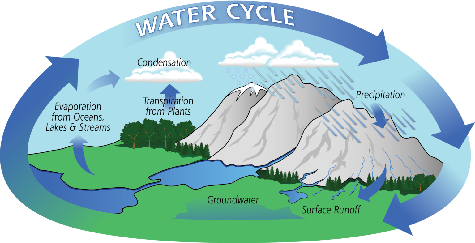 Siklus Biogeokimia | PROJEK IPAS