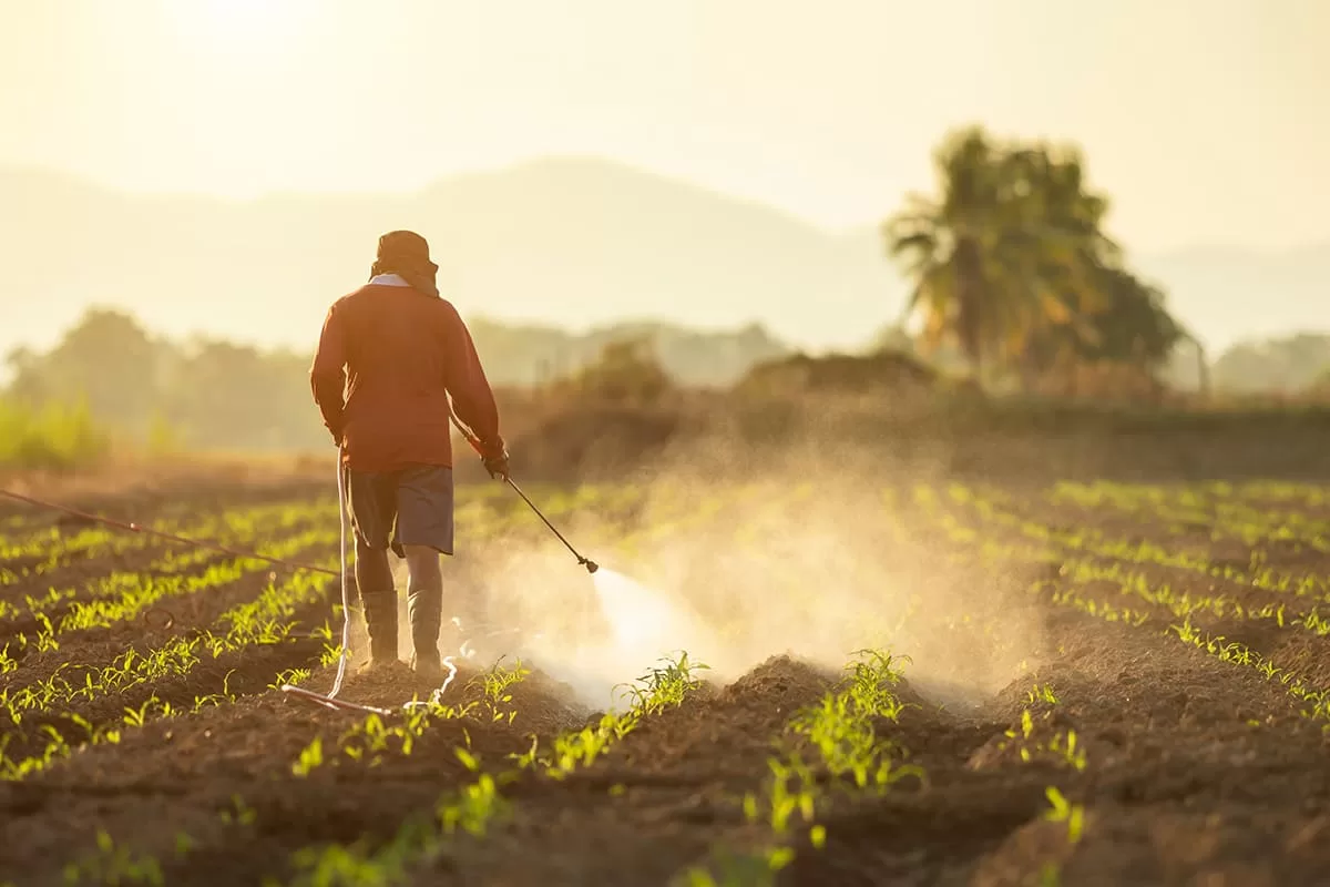 Penggunaan Pestisida Berlebih dapat Menyebabkan Pencemaran Tanah