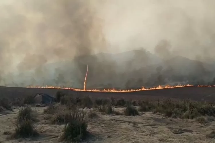 Kebakaran Bromo