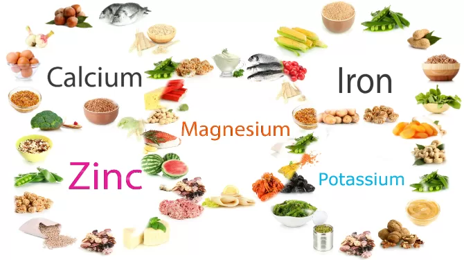 Makanan dengan Kandungan Mineral Tinggi