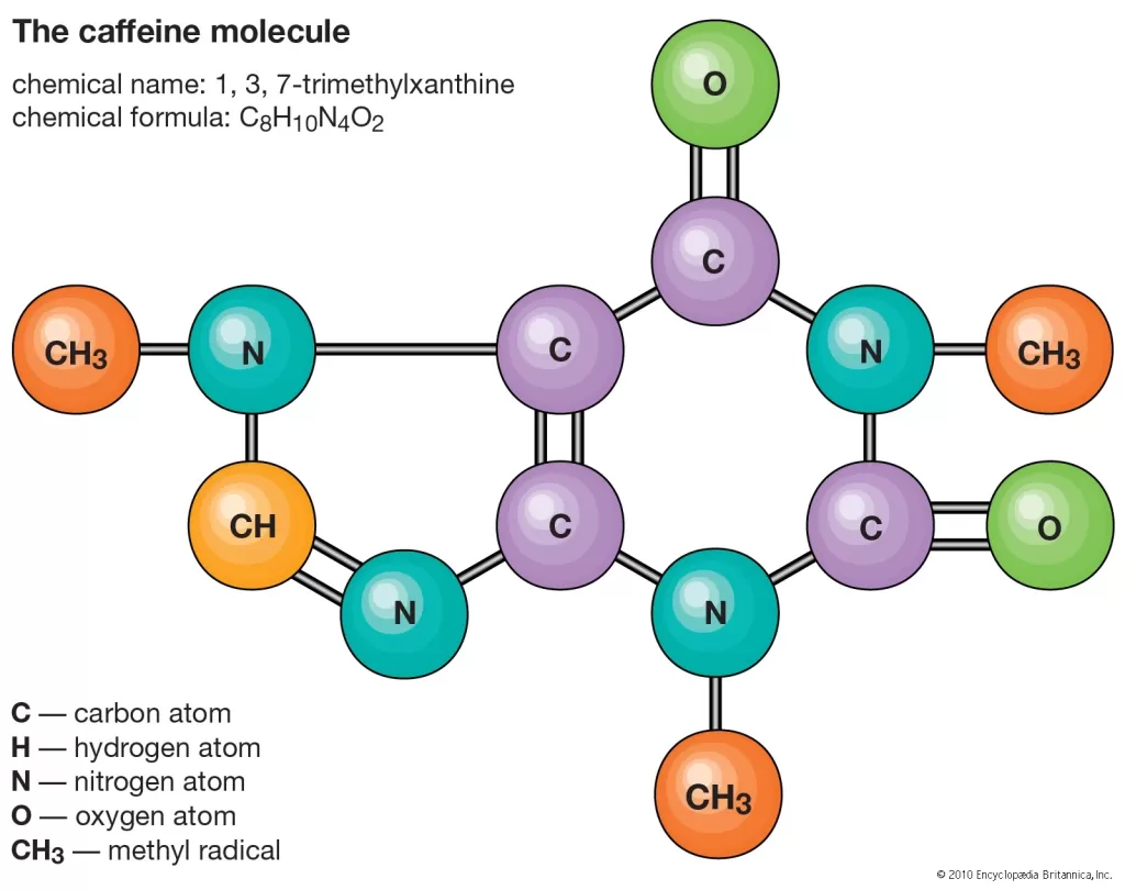 Struktur Molekul Kafein