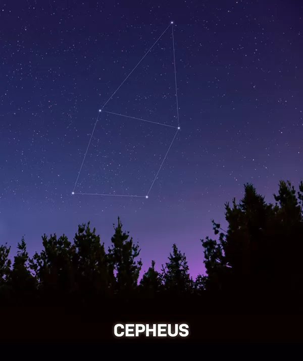 Rasi Bintang Cepheus
