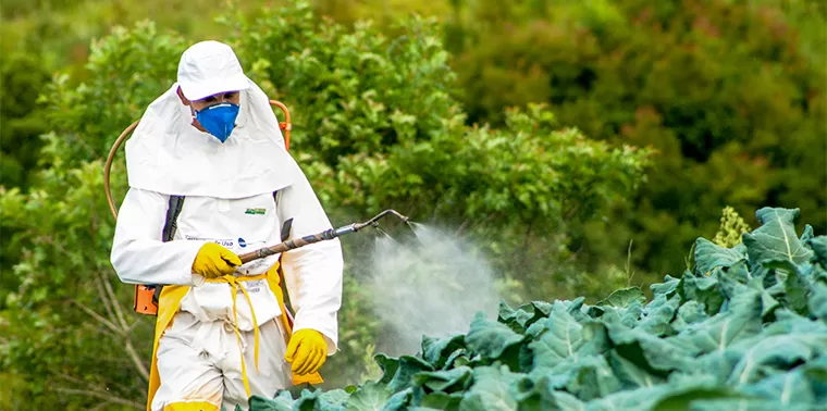 Penggunaan Pestisida pada Tanaman