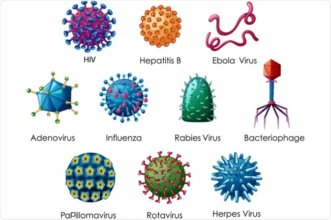 Gambar Macam-Macam Virus