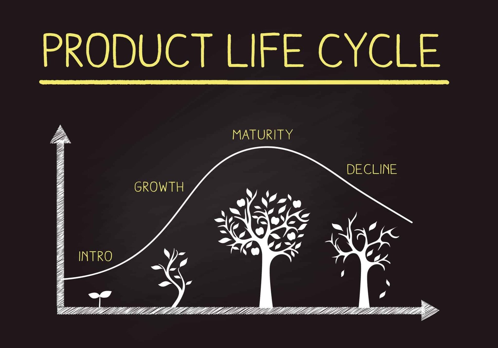 Siklus Hidup Produktif